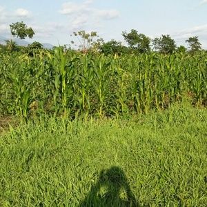 Meet your Posher, Sandro